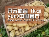 产品展示标题3