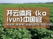 种植基地五