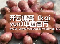 产品展示标题5(图1)