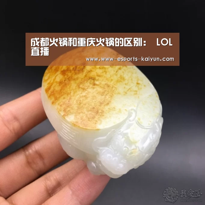  电竞官网