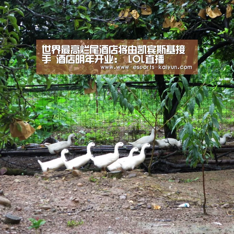 世界最高烂尾酒店将由凯宾斯基接手 酒店明年开业: LOL直播(图1) 电竞官网