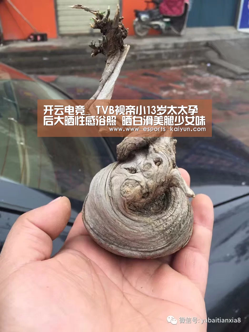 开云电竞_
TVB视帝小13岁太太孕后大晒性感浴照 晒白滑美腿少女味十足(图5) LOL直播