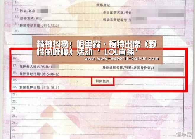 开云电竞